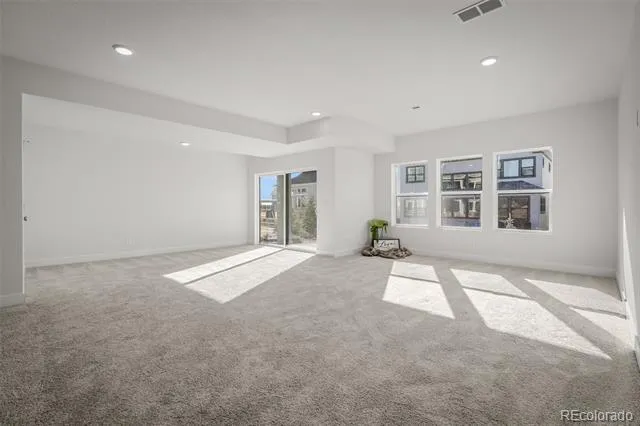 17234 Alsike Clover Court Monument, CO 80132