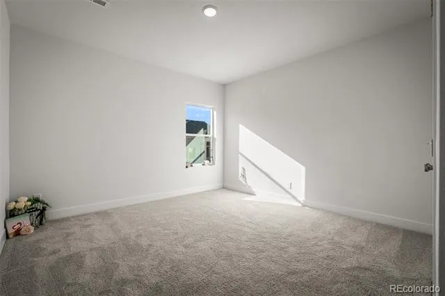 17234 Alsike Clover Court Monument, CO 80132