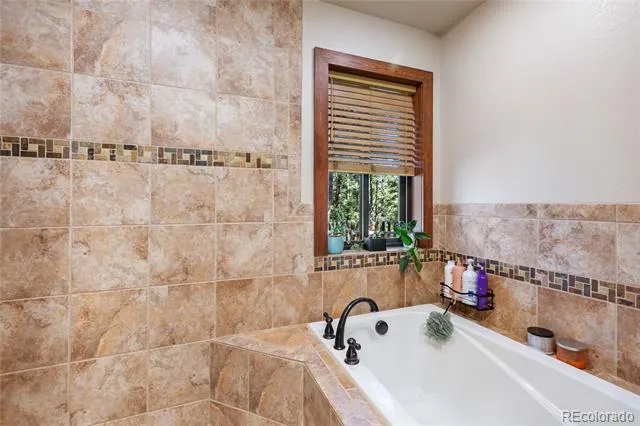 80 Feldspar Road Florissant, CO 80816