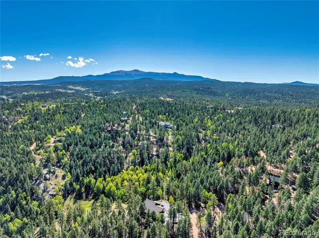 80 Feldspar Road Florissant, CO 80816