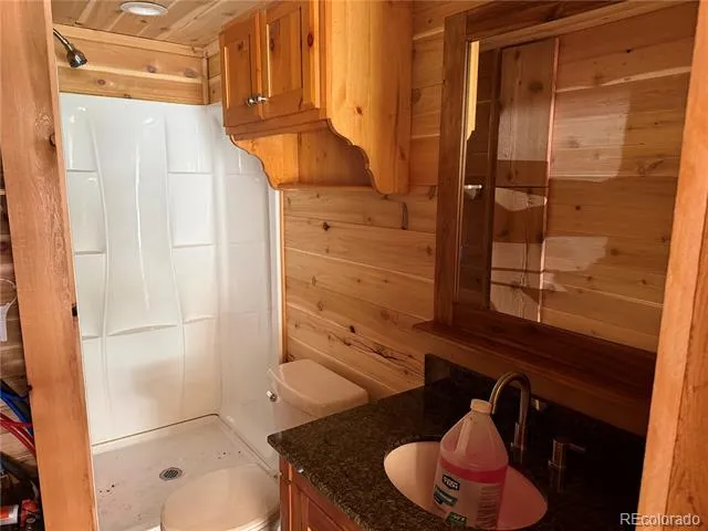 854 Old Little Bear Creek Road Idaho Springs, CO 80452