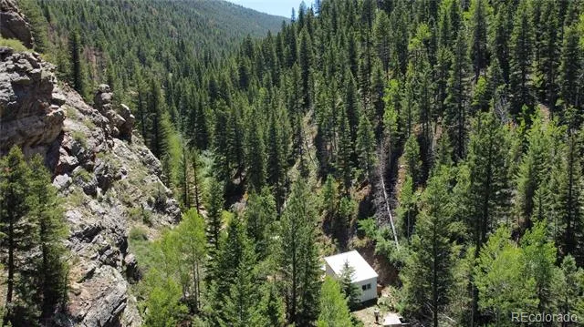 854 Old Little Bear Creek Road Idaho Springs, CO 80452
