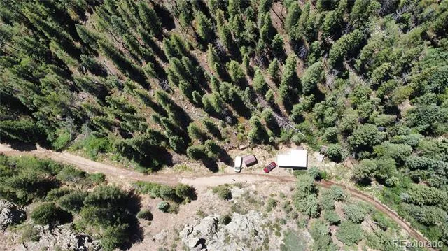 854 Old Little Bear Creek Road Idaho Springs, CO 80452