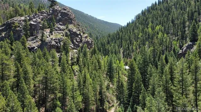 854 Old Little Bear Creek Road Idaho Springs, CO 80452