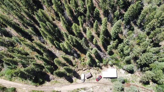 854 Old Little Bear Creek Road Idaho Springs, CO 80452