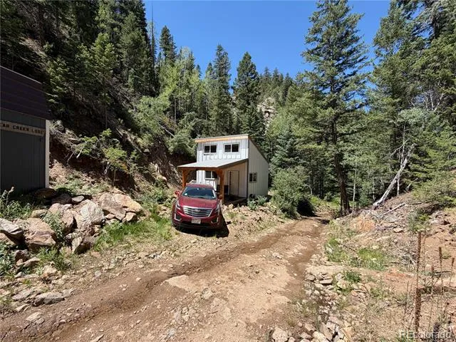 854 Old Little Bear Creek Road Idaho Springs, CO 80452