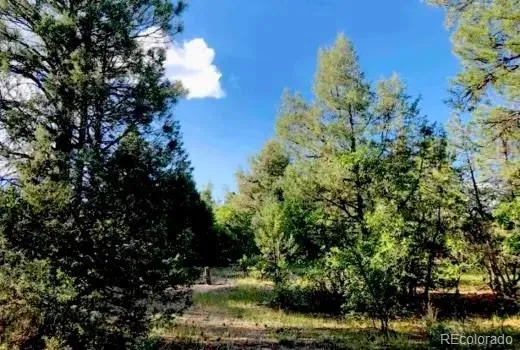 131 Retreat Court Pagosa Springs, CO 81147