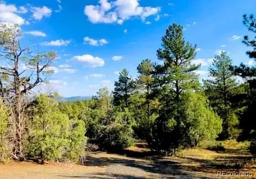 131 Retreat Court Pagosa Springs, CO 81147