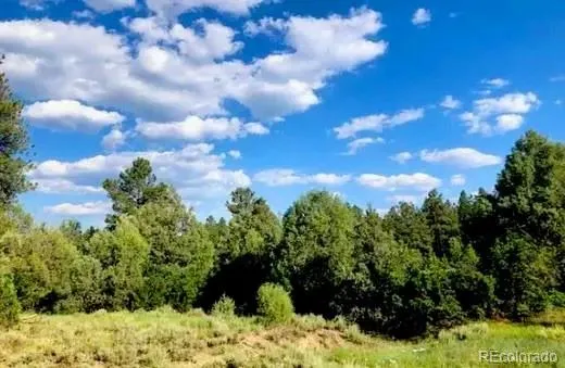 131 Retreat Court Pagosa Springs, CO 81147