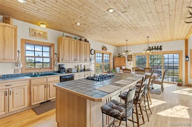 76 No Place Road Hartsel, CO 80449