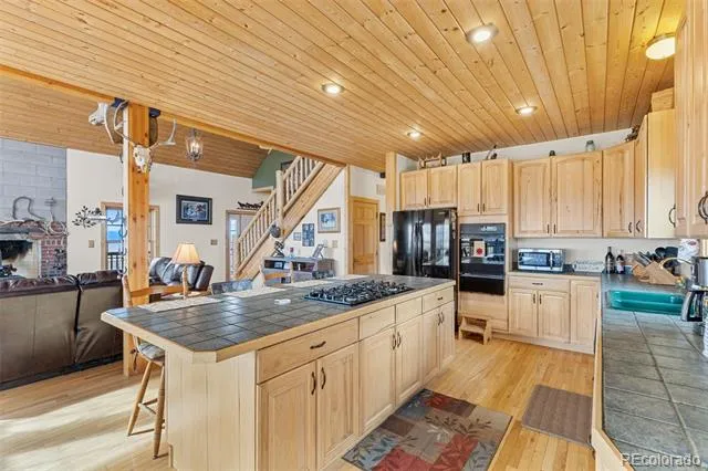76 No Place Road Hartsel, CO 80449