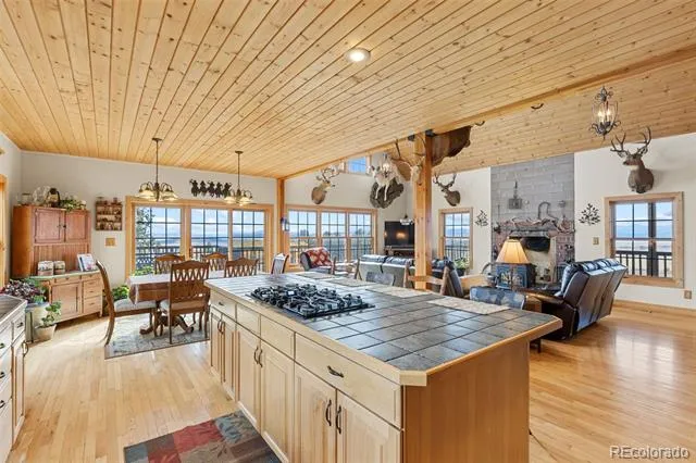 76 No Place Road Hartsel, CO 80449