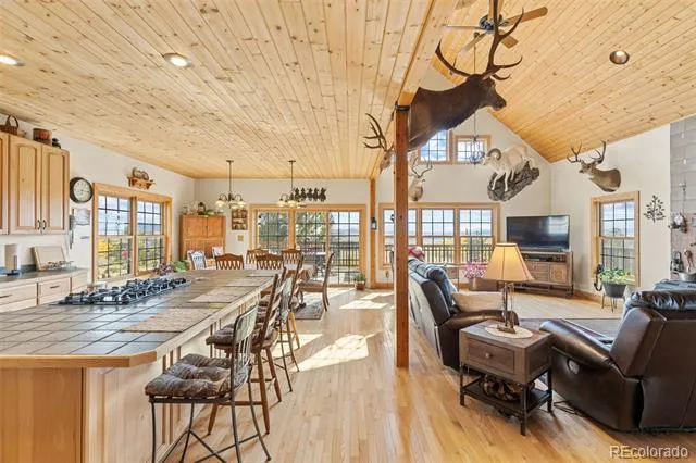 76 No Place Road Hartsel, CO 80449