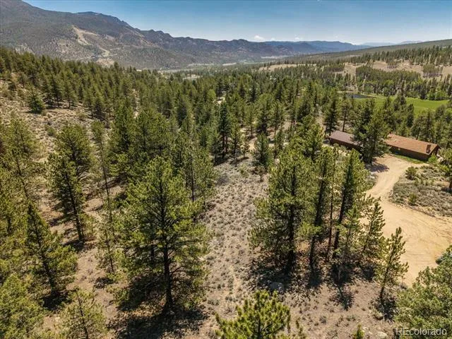 Overlook  DR Buena Vista, CO 81211