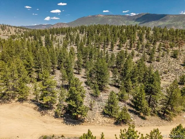 Overlook  DR Buena Vista, CO 81211