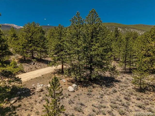 Overlook  DR Buena Vista, CO 81211