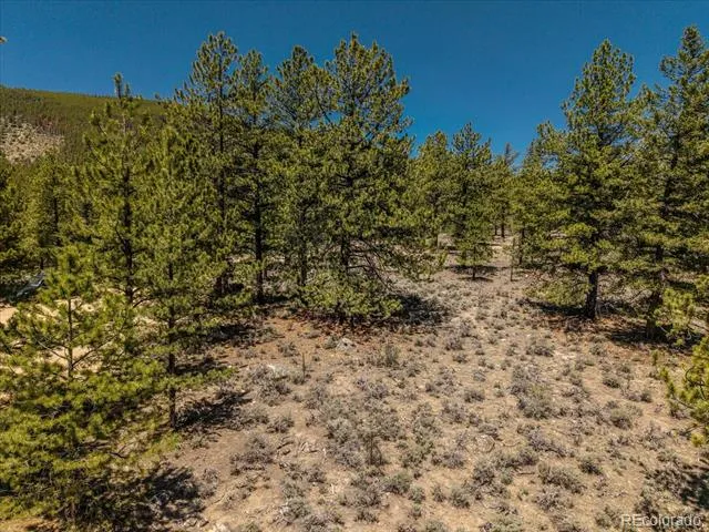 Overlook  DR Buena Vista, CO 81211