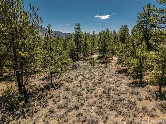 Overlook  DR Buena Vista, CO 81211