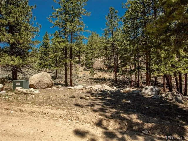 Overlook  DR Buena Vista, CO 81211
