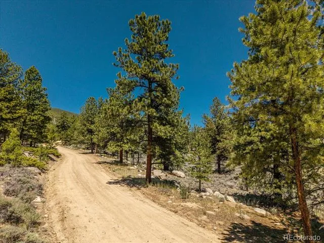 Overlook  DR Buena Vista, CO 81211