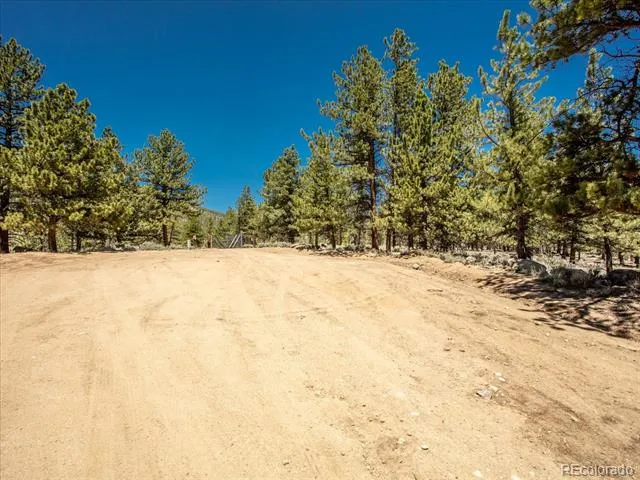 Overlook  DR Buena Vista, CO 81211