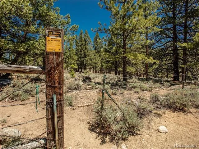 Overlook  DR Buena Vista, CO 81211