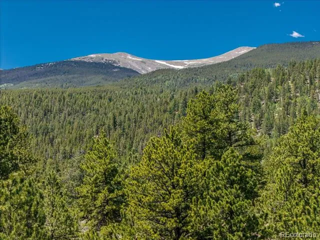 Overlook  DR Buena Vista, CO 81211