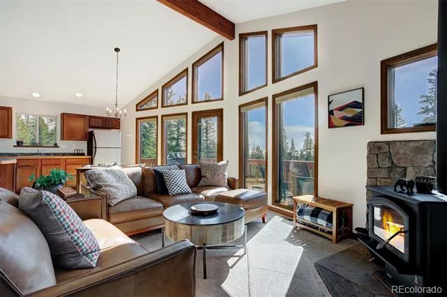 50 Puma Crossing Fairplay, CO 80440