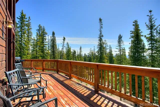 50 Puma Crossing Fairplay, CO 80440