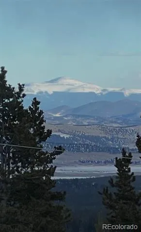 50 Puma Crossing Fairplay, CO 80440
