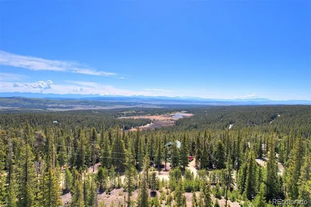 50 Puma Crossing Fairplay, CO 80440