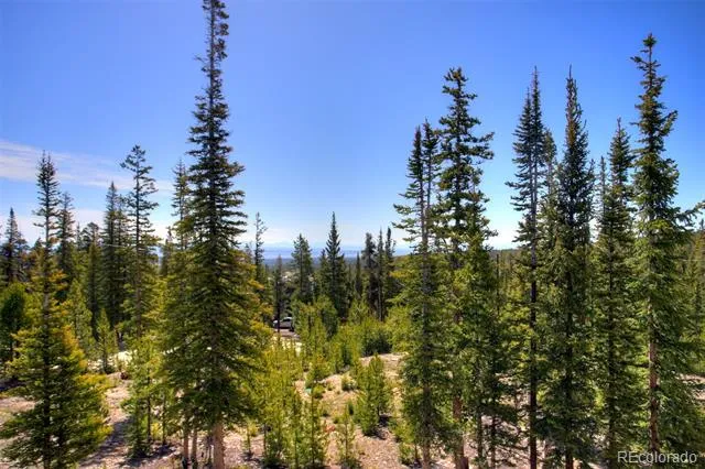 50 Puma Crossing Fairplay, CO 80440