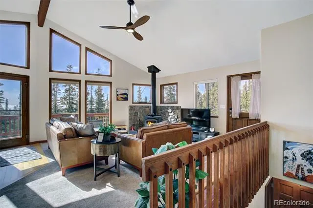 50 Puma Crossing Fairplay, CO 80440