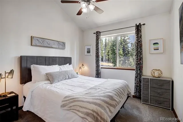 50 Puma Crossing Fairplay, CO 80440