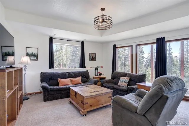 50 Puma Crossing Fairplay, CO 80440