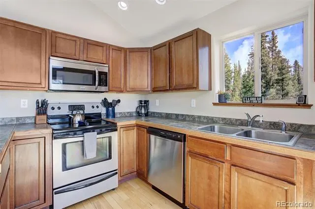 50 Puma Crossing Fairplay, CO 80440