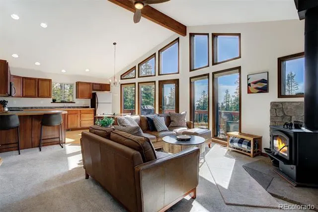 50 Puma Crossing Fairplay, CO 80440
