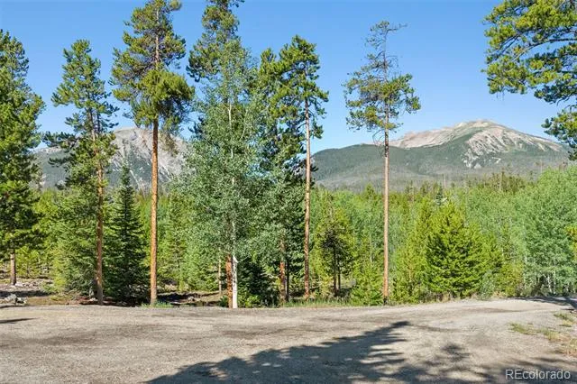 1165 Emerald Road Silverthorne, CO 80498