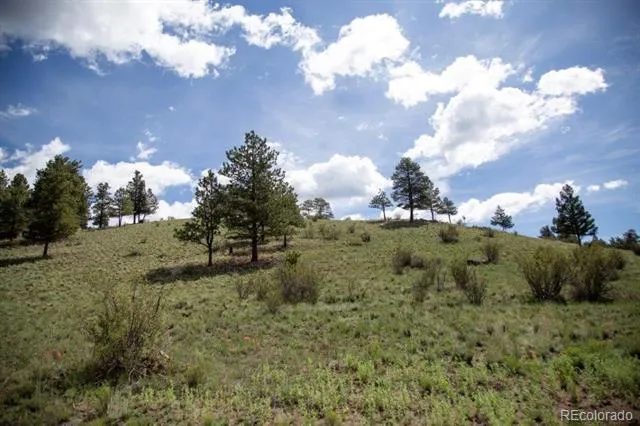 Address Not Shown Creede, CO 81130