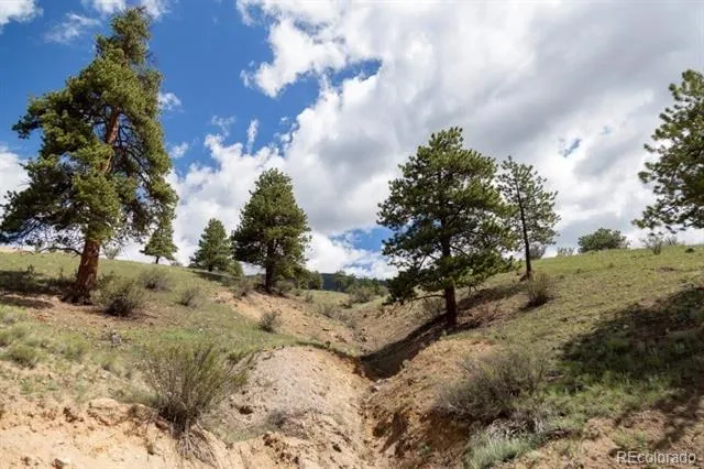 Address Not Shown Creede, CO 81130