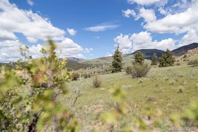 Address Not Shown Creede, CO 81130