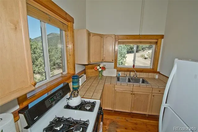 4420 Twinview Court Crestone, CO 81131