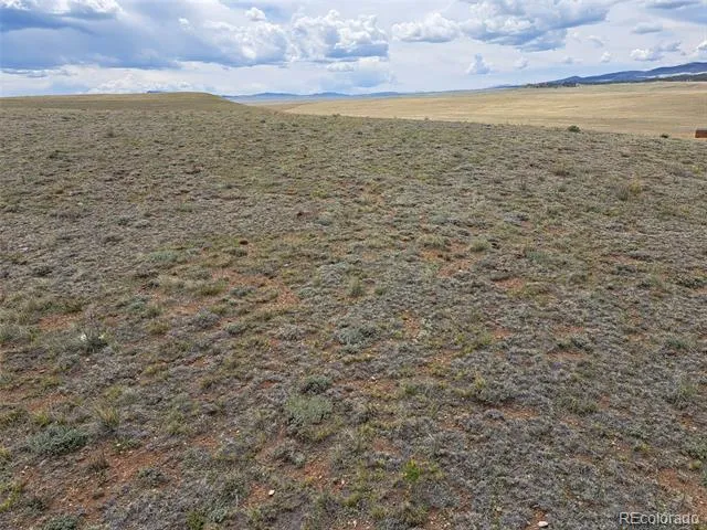 00 County Road 55 Hartsel, CO 80449