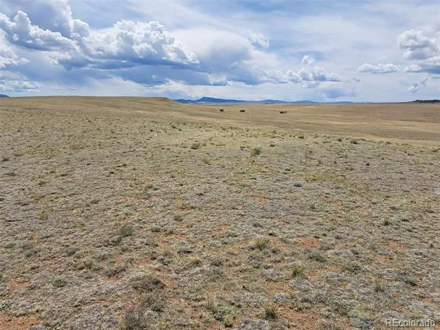 00 County Road 55 Hartsel, CO 80449
