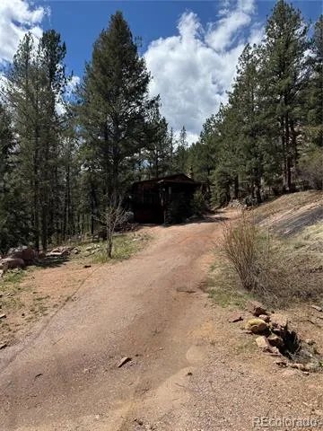 15751 S Elk Creek Road S Pine, CO 80470