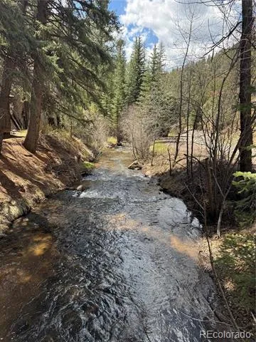 15751 S Elk Creek Road S Pine, CO 80470
