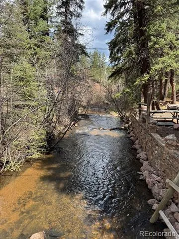 15751 S Elk Creek Road S Pine, CO 80470