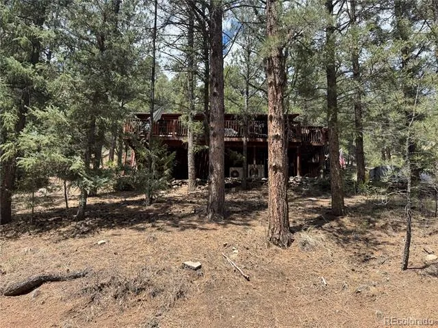 15751 S Elk Creek Road S Pine, CO 80470