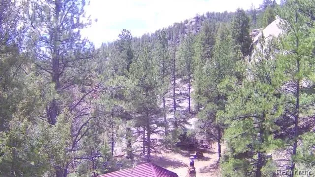 15751 S Elk Creek Road S Pine, CO 80470