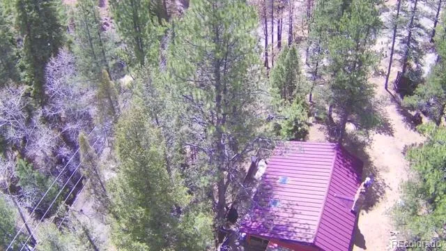 15751 S Elk Creek Road S Pine, CO 80470
